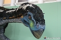 VBS_0915 - Dinosauri. Terra dei giganti